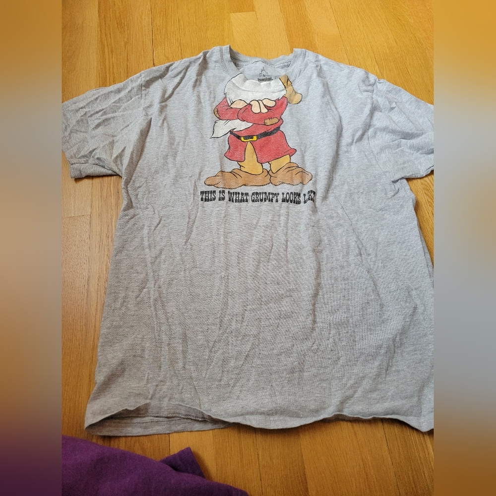 Disney grumpy shirt sz L